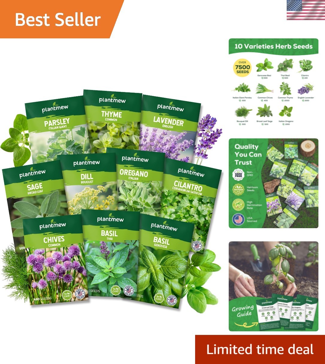 10 Herb Seeds Variety Pack – 7,000+ Heirloom Non-GMO Seeds – Basil, Cilantro,…