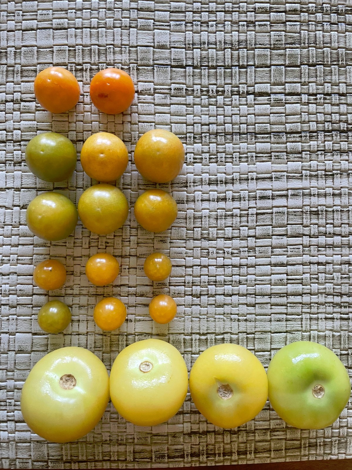 Goldenberry, Ground cherry, Chinese Lantern Fruit & Yellow Tomatillo Seeds (4)