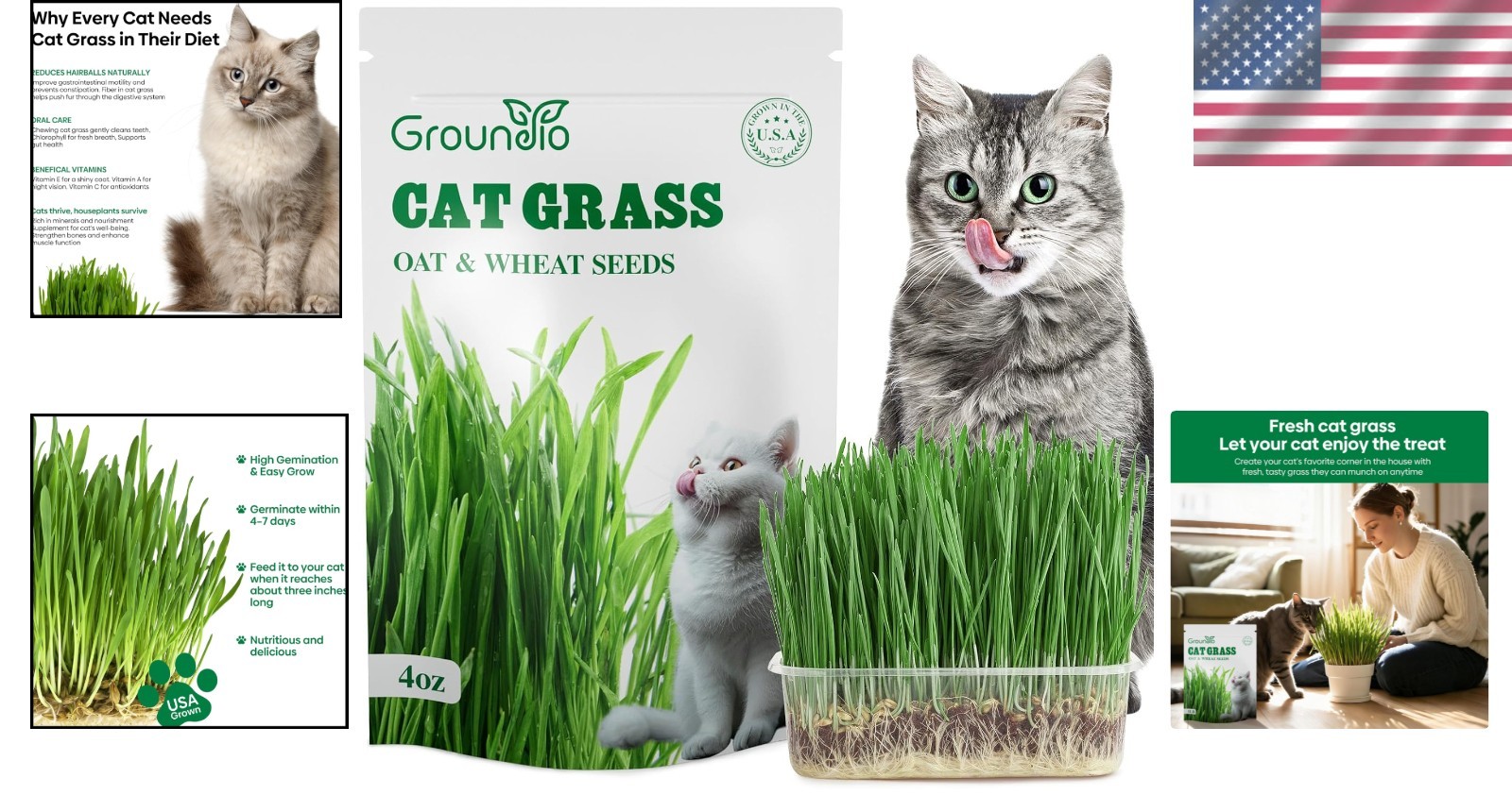 Non-GMO Cat Grass Seeds, 4 Oz – Wheat & Oat Mix for Indoor Outdoor Cats