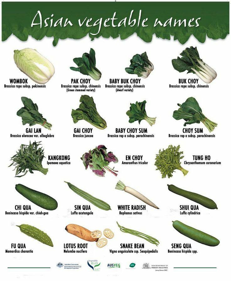 Vegetable Seed LARGE SURVIVAL Garden Collection 30 Types Heirloom NON-GMO