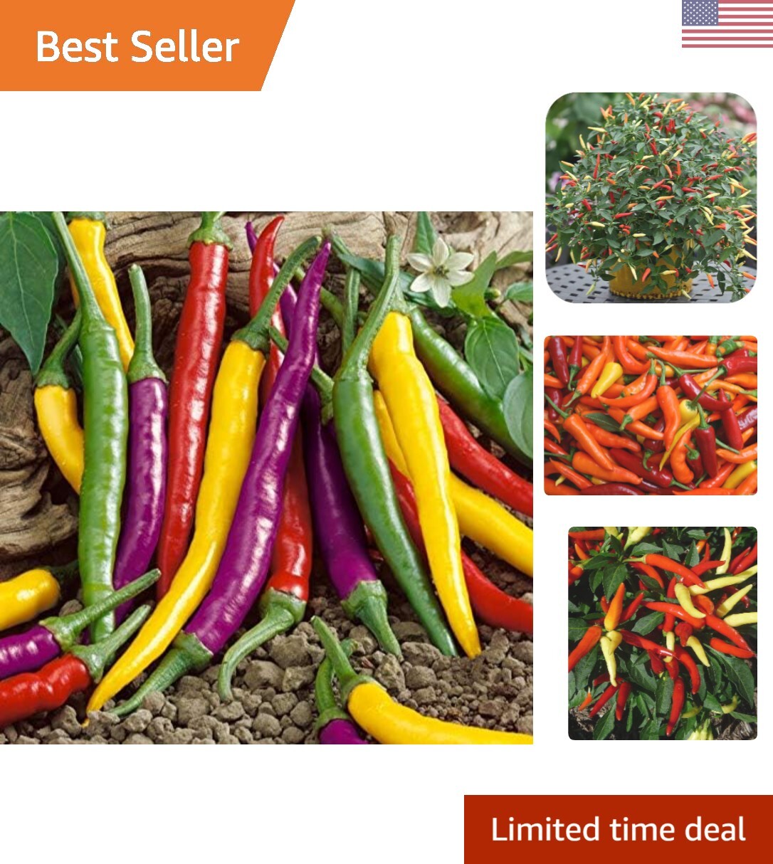 Hot Chili Pepper Mix – Heirloom, Non GMO, Organic – Vibrant Colors – 50 Seeds