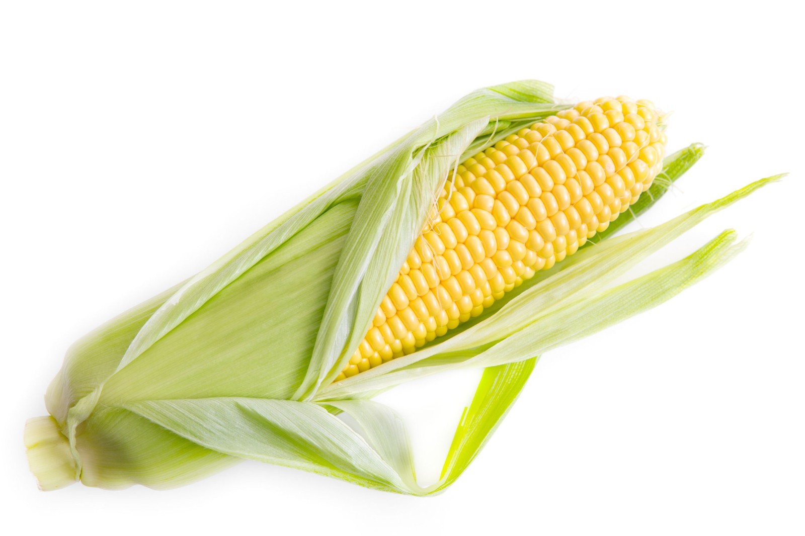 100 Heirloom Golden Bantam Sweet Corn Seeds -All Natural