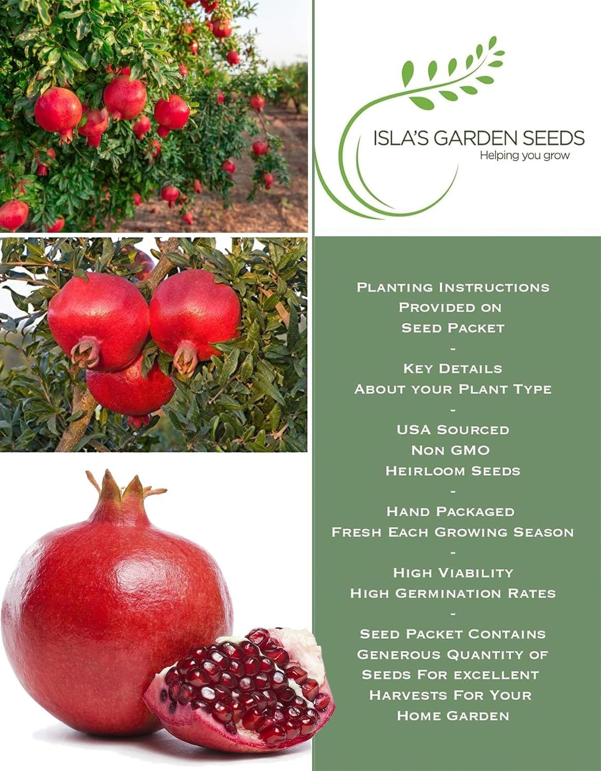 Pomegranate Tree Seeds Punica granatum – 30+ Non-GMO Fruit Tree Seeds for Pla…