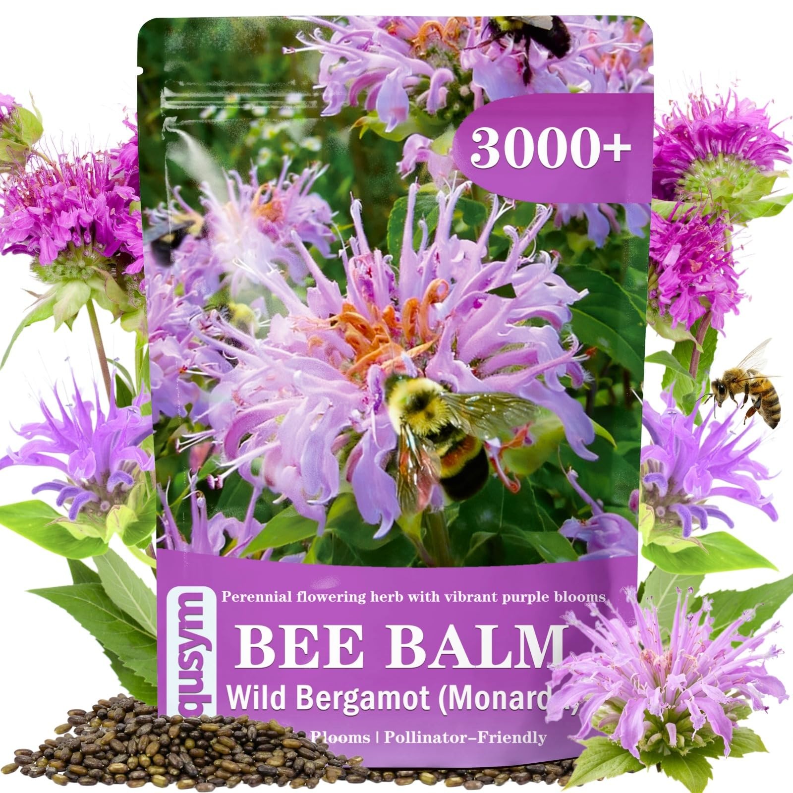 3000+ Bee Balm Seeds for Planting – Wild Bergamot, Bee Balm Perennial Open Po…