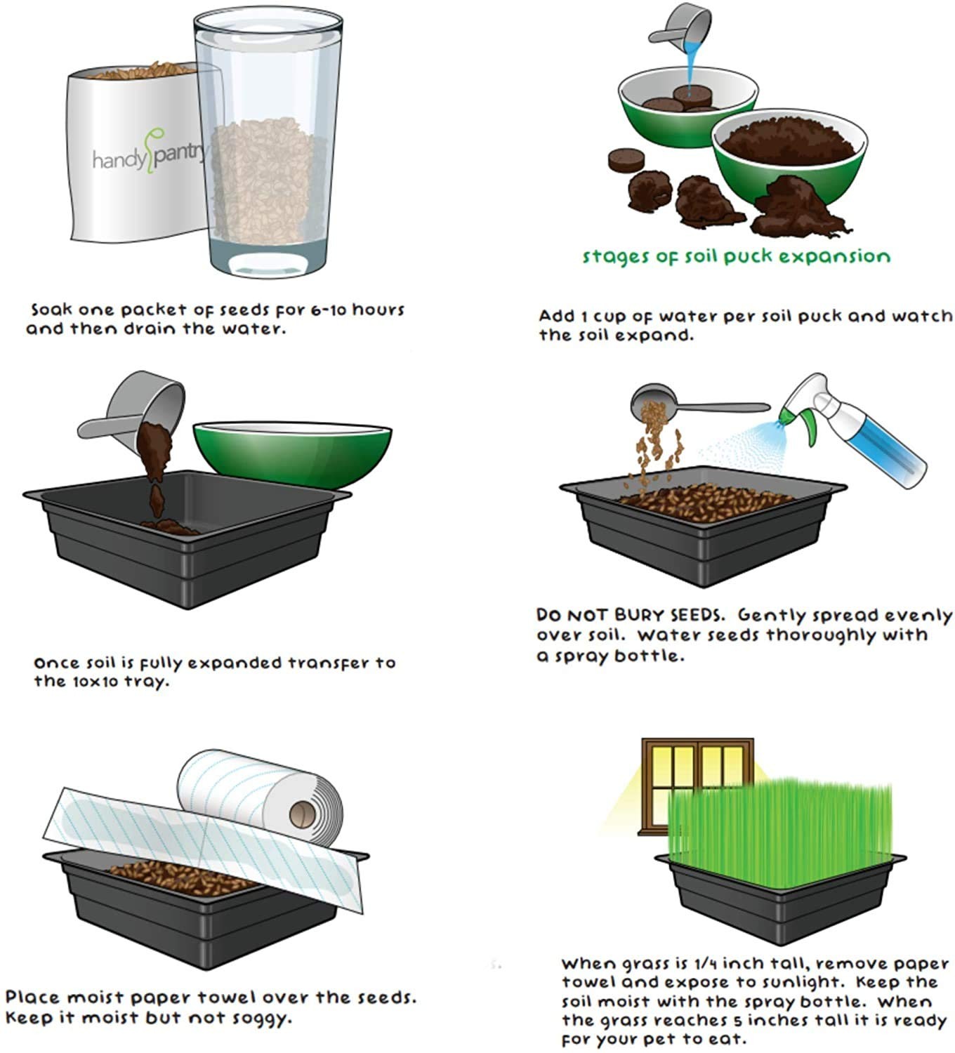 Handy Pantry Organic Cat Grass Kit | Includes Everything You Need: 3 Trays, 3