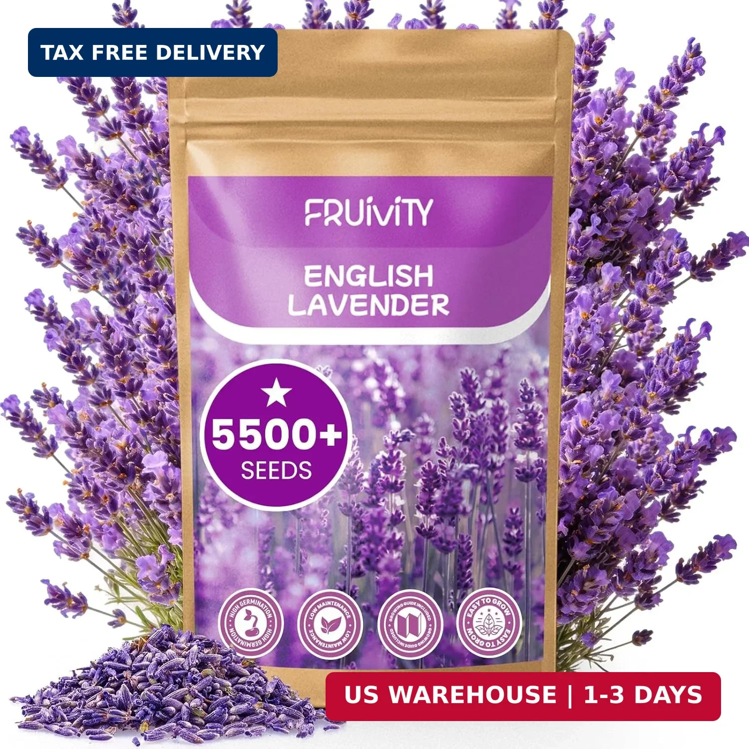 5500+ English Lavender Seeds for Planting Outdoor Heirloom Lavandula Flower Seed