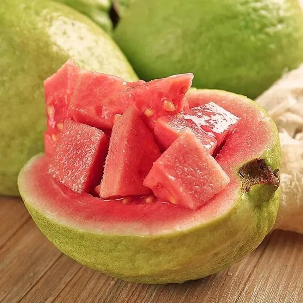 30+ Pink Guava Seeds Tropical Strawberry Guava Tree Seed Easy Fruit Fruit Garden