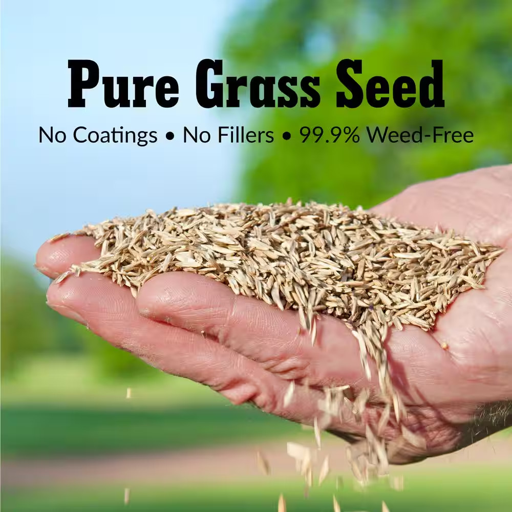 II 25 Lbs. Perennial Ryegrass Blend