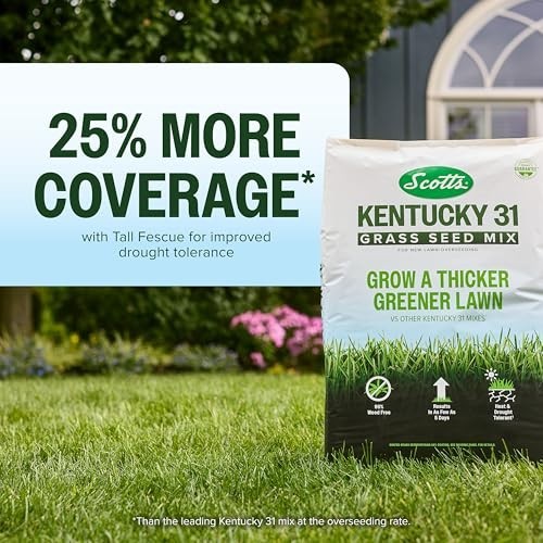 Premium Kentucky 31 Grass Seed Mix – Covers 10,000 sq ft, 40 lb for Lush Lawn