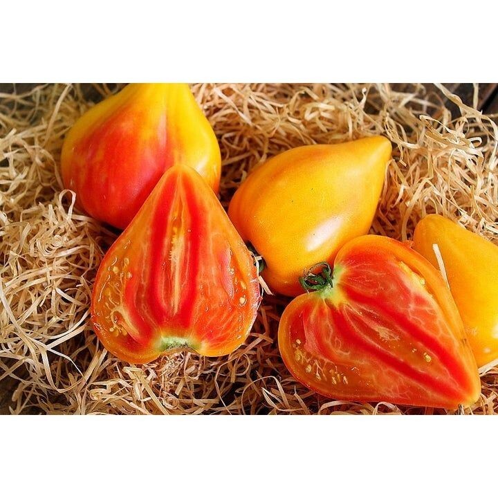 120+ Orange Oxheart Tomato Seeds – Heirloom – Organic – NON GMO – FRESH — RARE