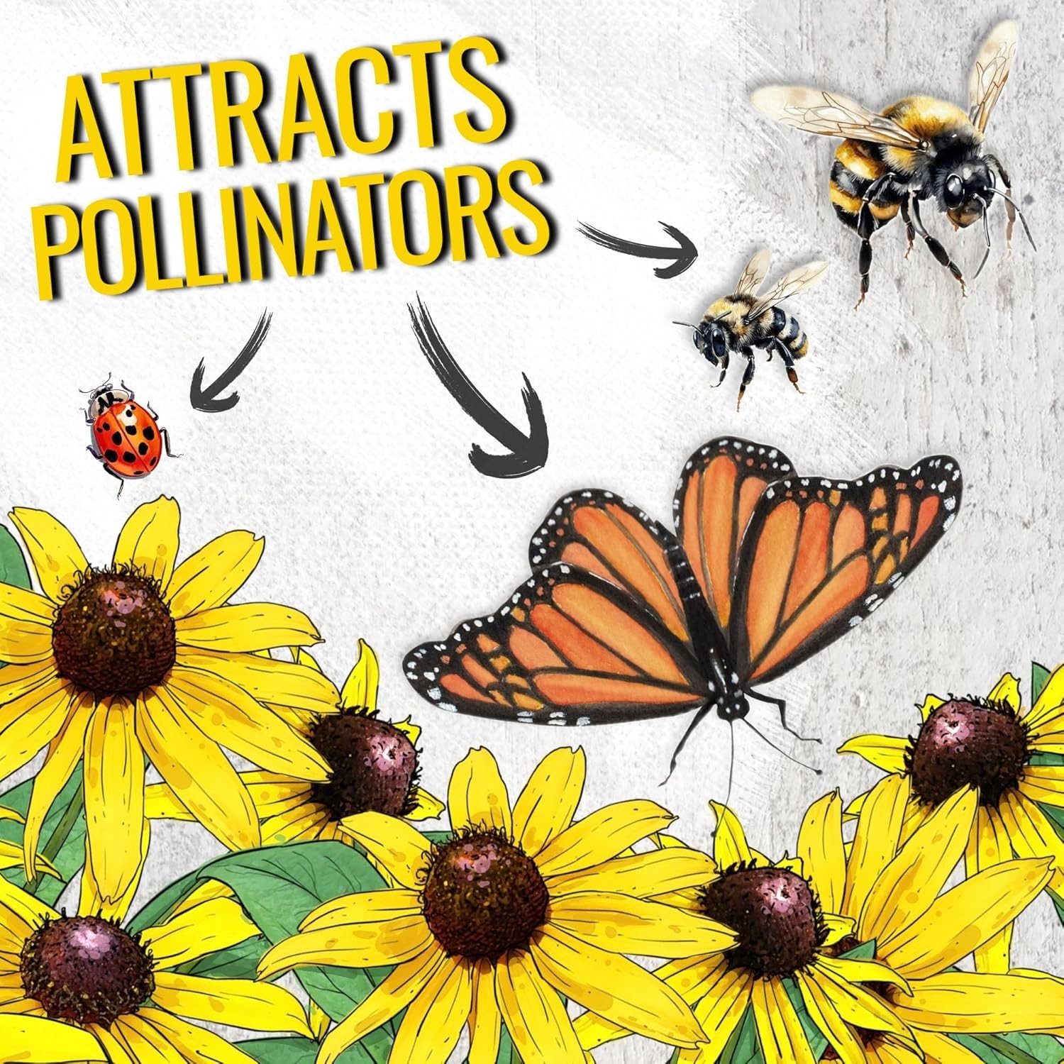 120,000+ Resealable Black Eyed Susan Seeds – Attracts Pollinators in Full Sun