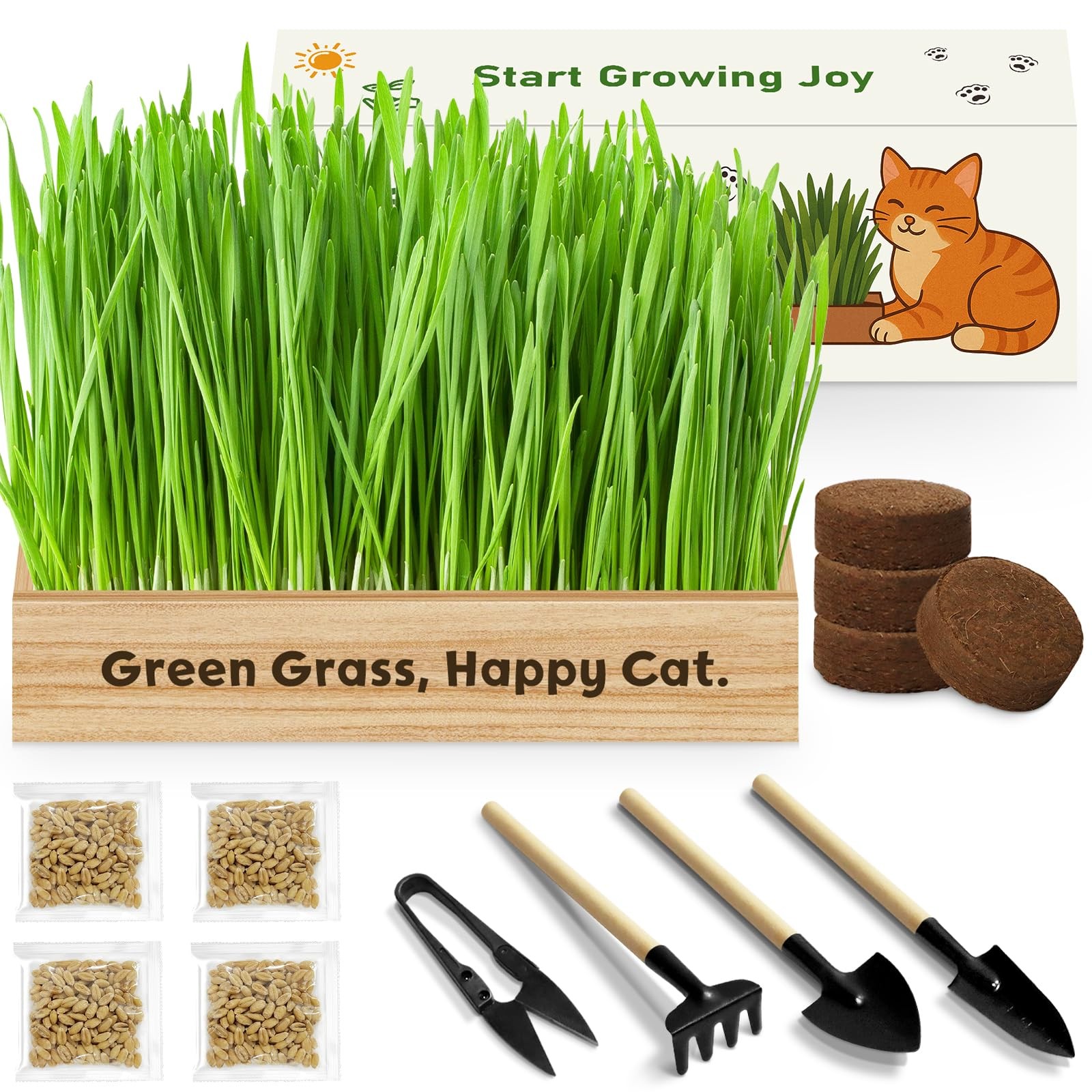 Cat Grass Kit for Indoor Cats – Non-GMO Seeds, Unique Gifts for Cat Lovers