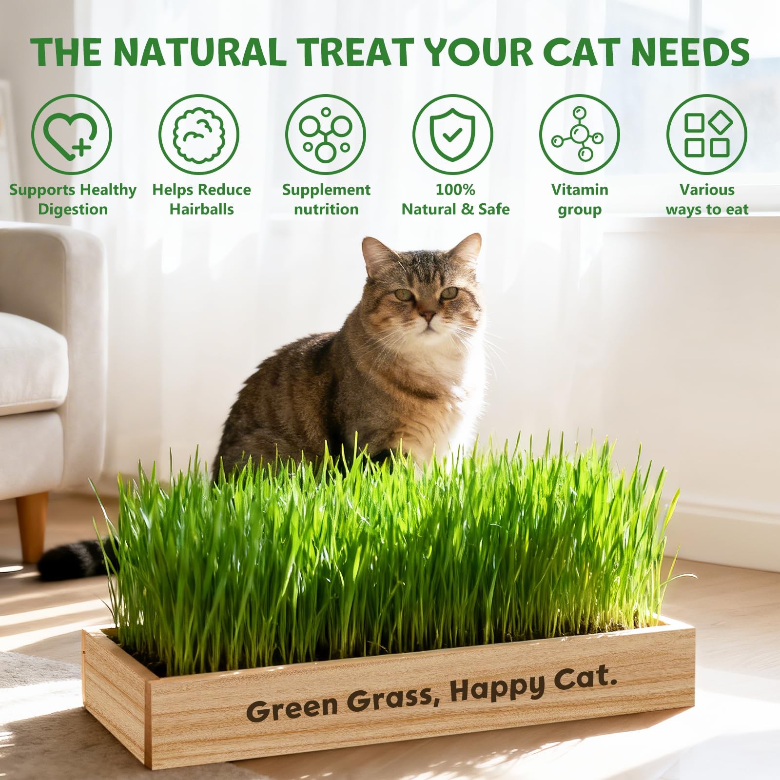 Cat Grass Kit for Indoor Cats – Non-GMO Seeds, Unique Gifts for Cat Lovers