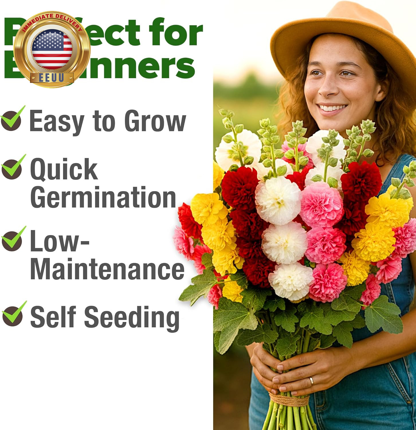 Hollyhock Summer Carnival Mix Flower Seeds – Alcea Rosea, Premium Annual Flower