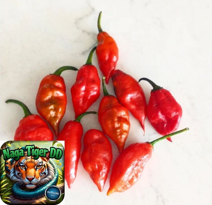 Humongous Hell Hot Heat Haul – 6 Superhot Varieties – Superhot! 120 Seeds Total!