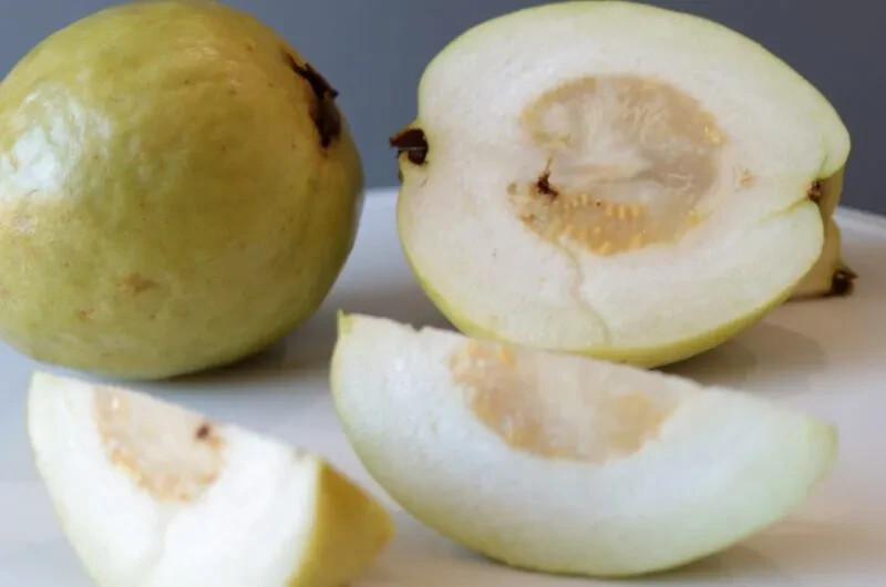 50+ Sweet White Indonesia Guava Seeds for Garden Planting – USA – FREE SHIPPING!