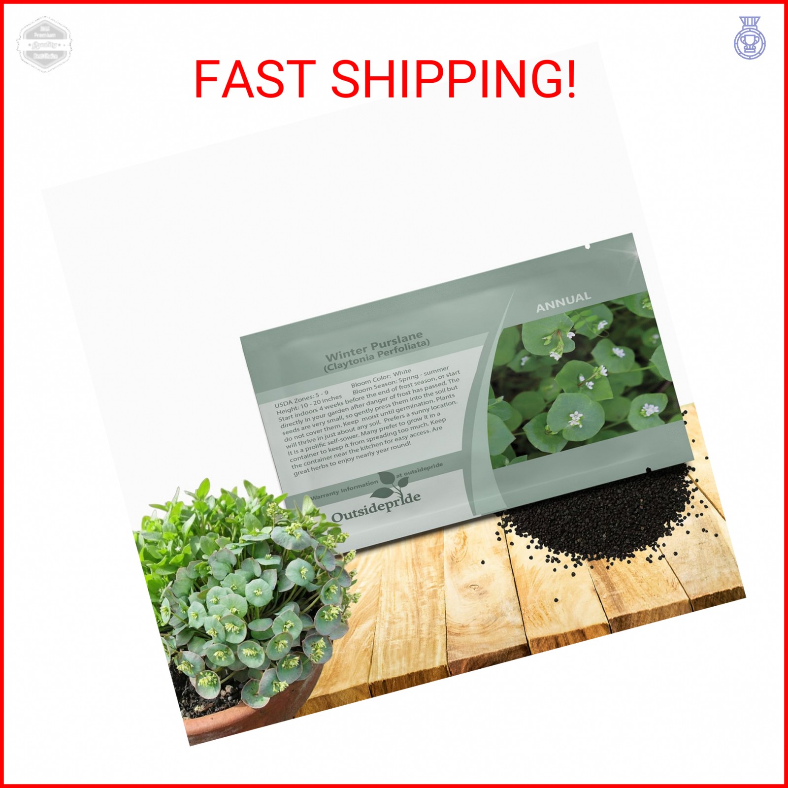 Outsidepride Winter Purslane Seeds for Planting – 5,000 Pcs Annual, Easy to Grow