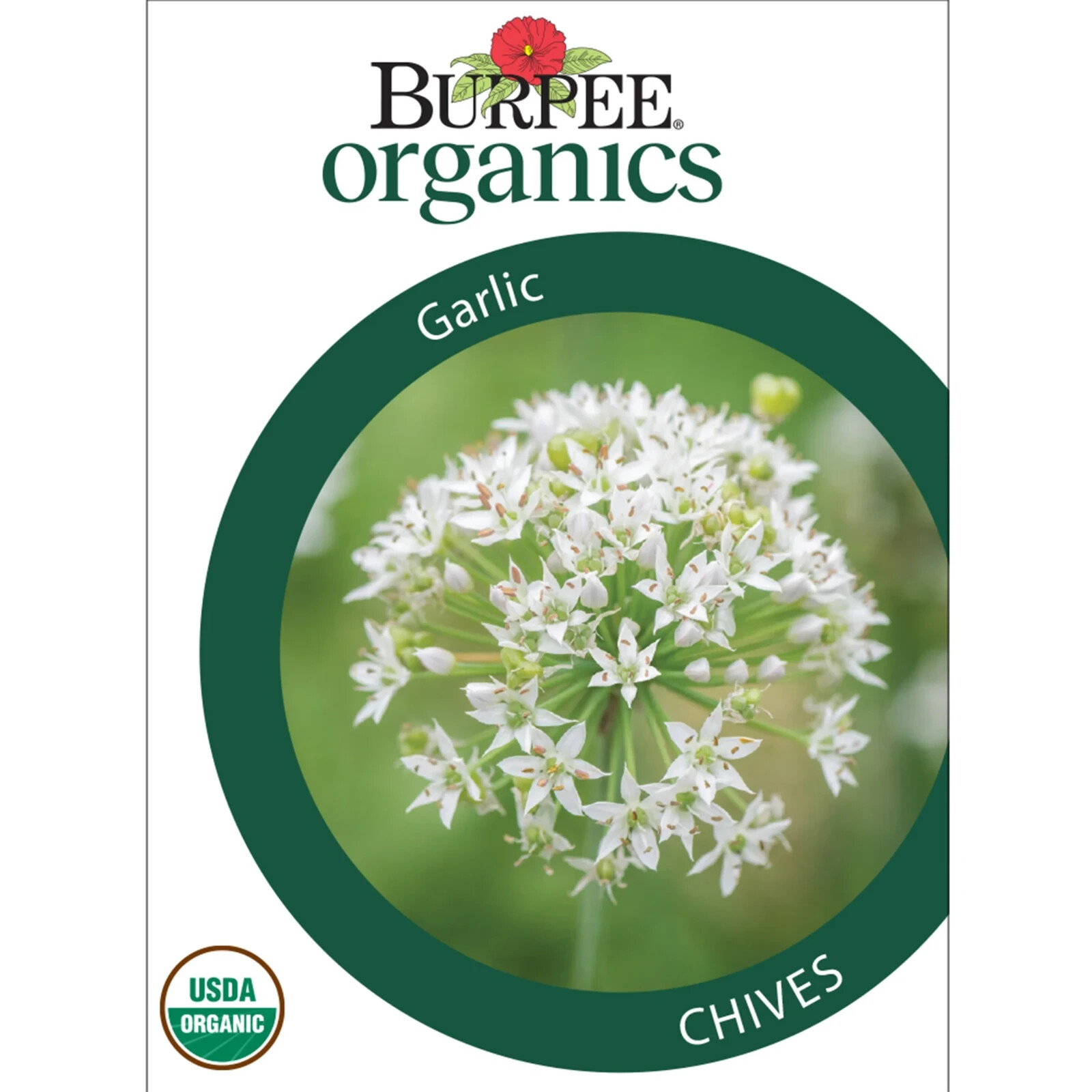 Burpee Organic Garlic Chives Herb Seed, 1-Pack 480 mg. Full Sun Tangy Zesty
