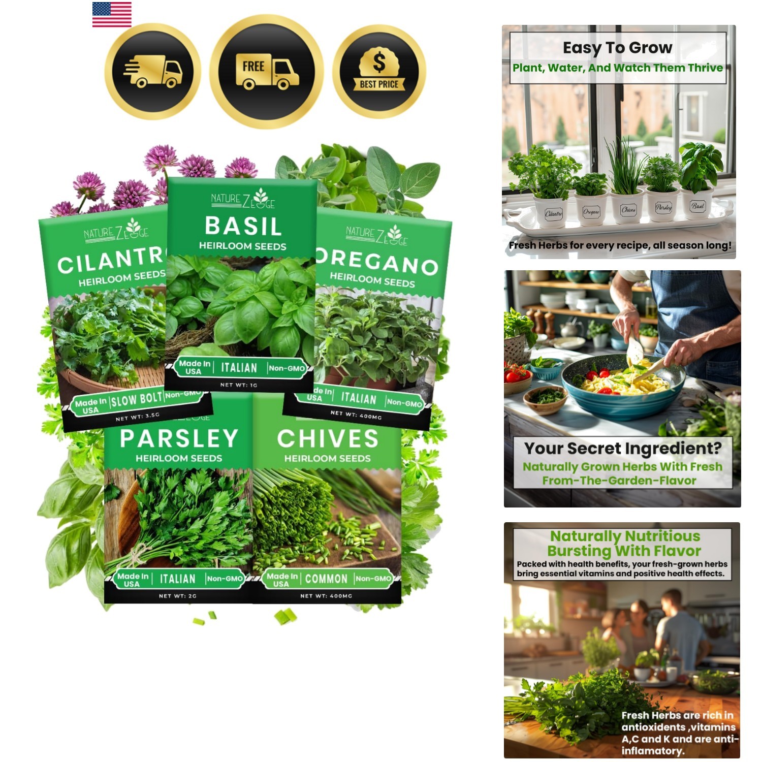 5 Herb Seeds Variety Kit, Oregano, Cilantro, Parsley, Basil, Chives