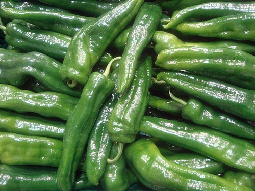 Capsicum annuum | Kashmiri Chilli | 100 Seeds