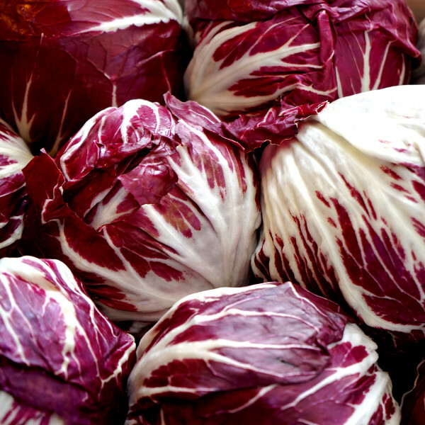 500 PALLA ROSSA RADICCHIO SEEDS FRESH HARVEST FOR GARDENS