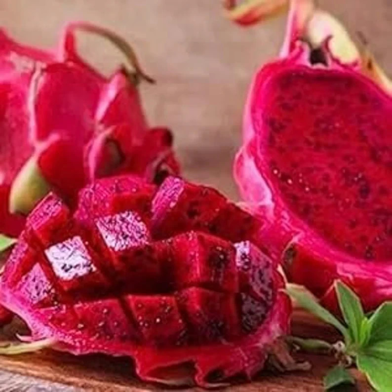 50 Red Dragon Fruit Seeds. Organic. USA Seeds. Ships free