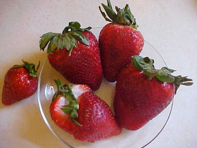 12 SEEDS BIG SWEET MAMA STRAWBERRY PRODUCE SUPER HUGE SWEET STRAWBERRIES ENJOY