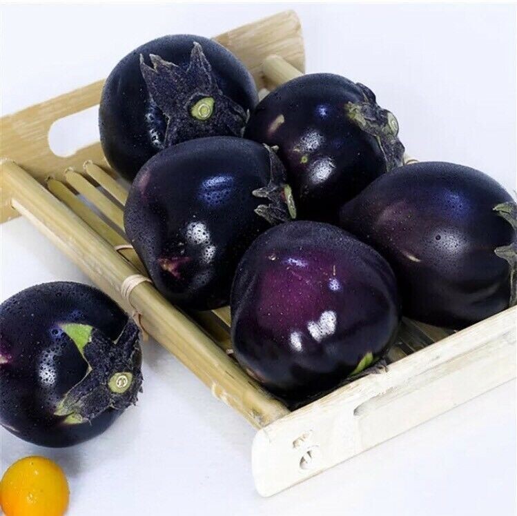 Organic 50 Pcs Black Eggplant Seeds Green Vegetable For Garden Planting