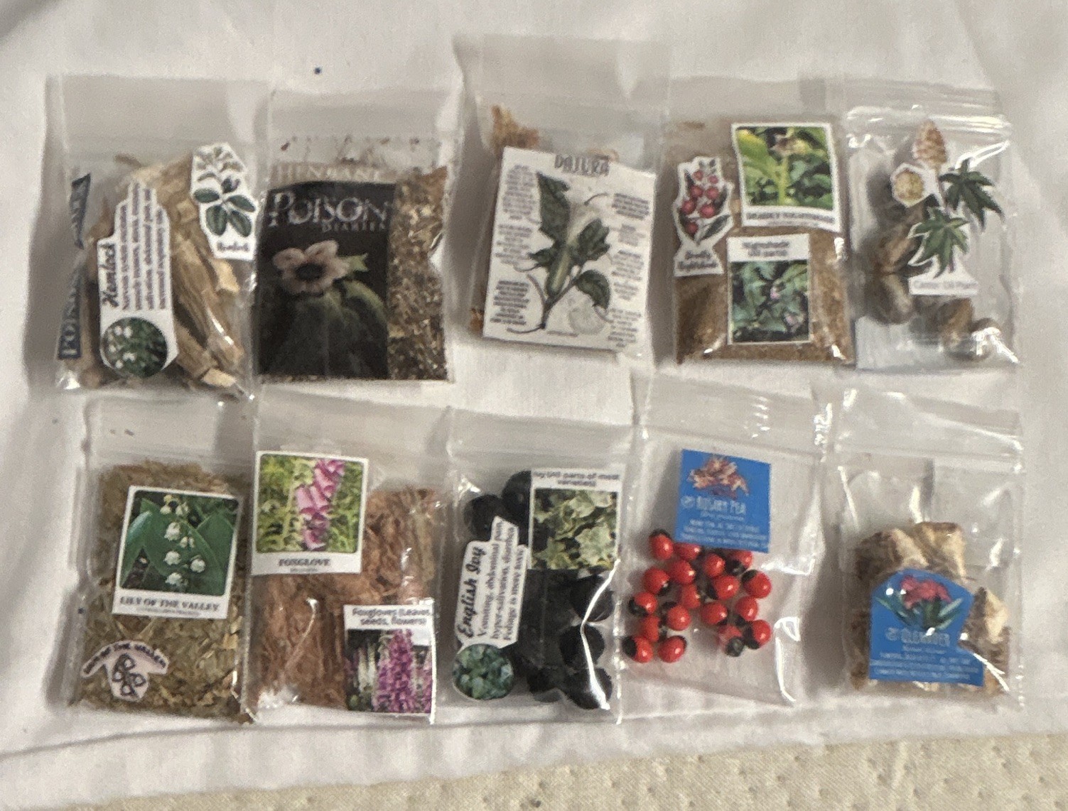 Herbs & Roots Lot: Belladonna, Datura, Hemlock, Foxglove, Lily of Valley & more