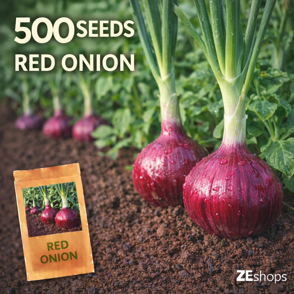 500 Red Onion Seeds Classic Bulb Vegetable Garden Variety