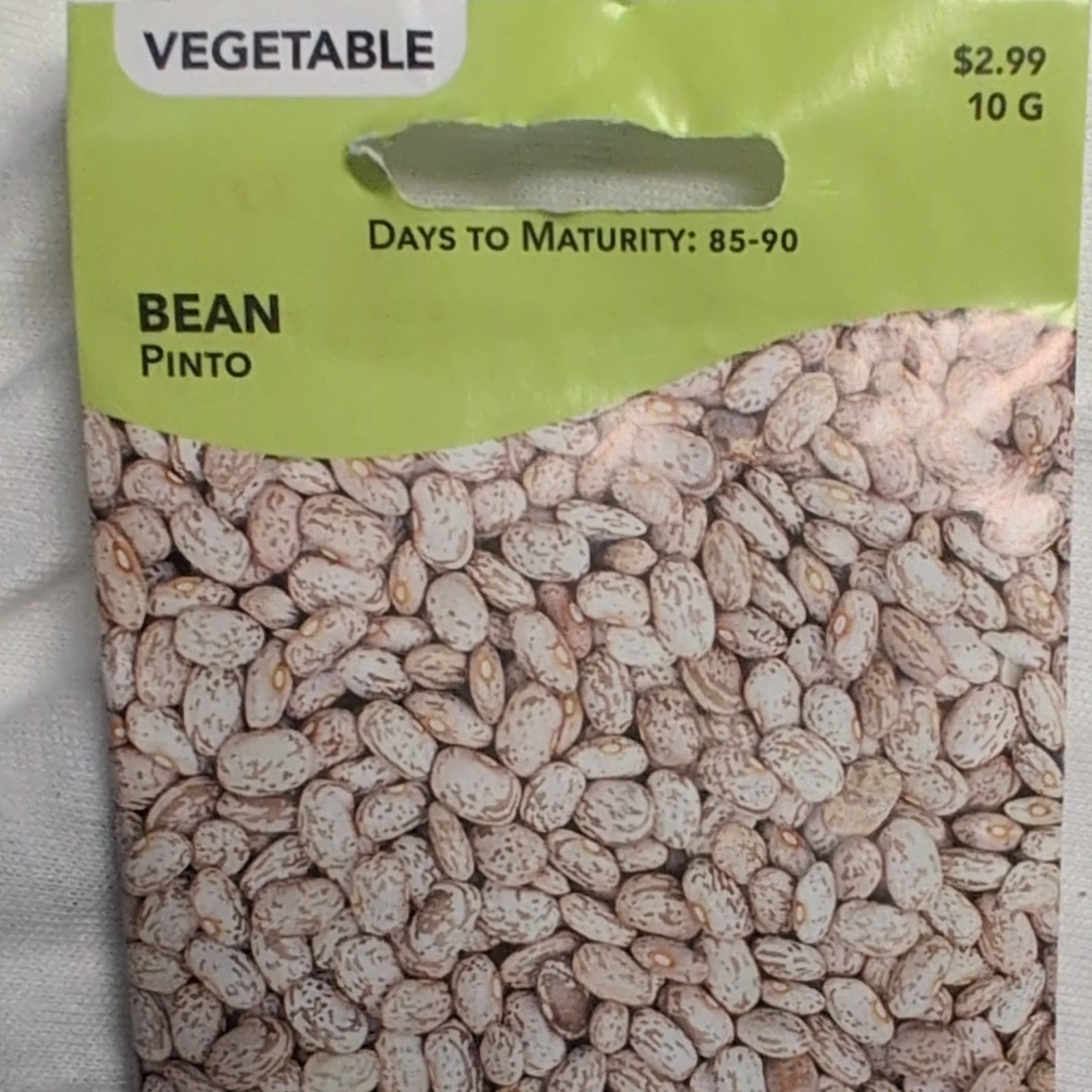 Livingston Pinto Bean Vegetable Seeds Full Sun Outdoor 85-90 Days Y4067
