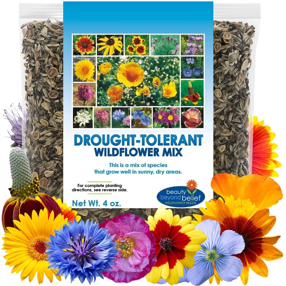 Drought Tolerant Wildflower Seeds – 4oz Packet, Open-Pollinated Bulk Brown