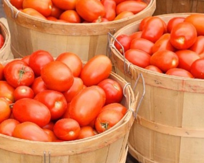 75+ Italian Roma Tomato Seeds **Fresh Seeds** ~~Free Shipping~~