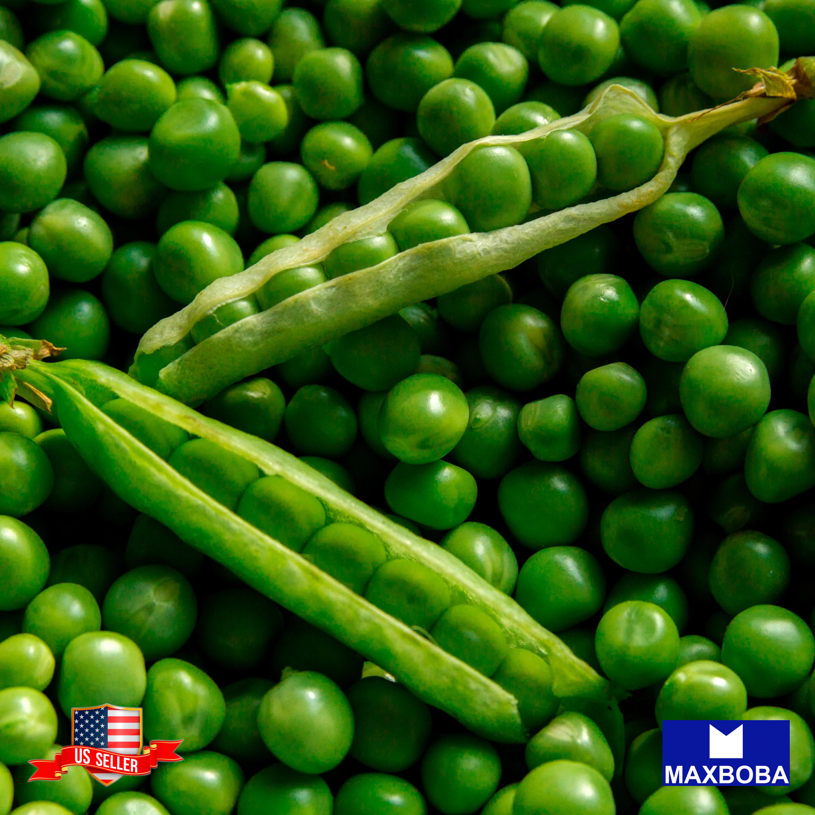 Fresh!! Pea Seeds Non-GMO