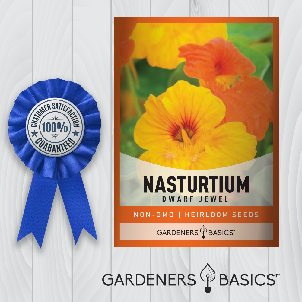 Jewel Mix Nasturtium Seeds