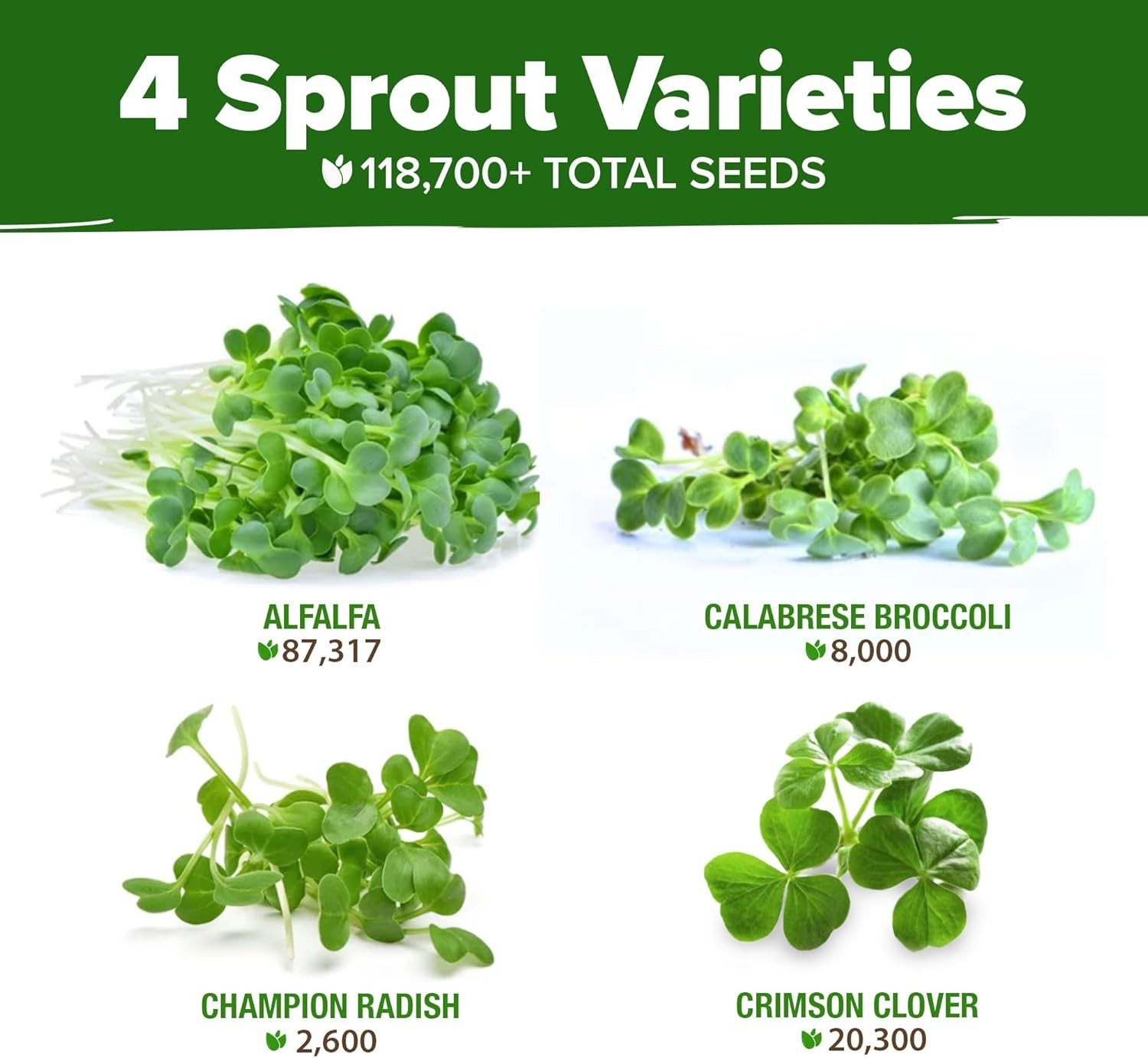 Sprouting Seeds Mix – Microgreens 118,200 Seeds for Indoor Growing – Non-GMO …