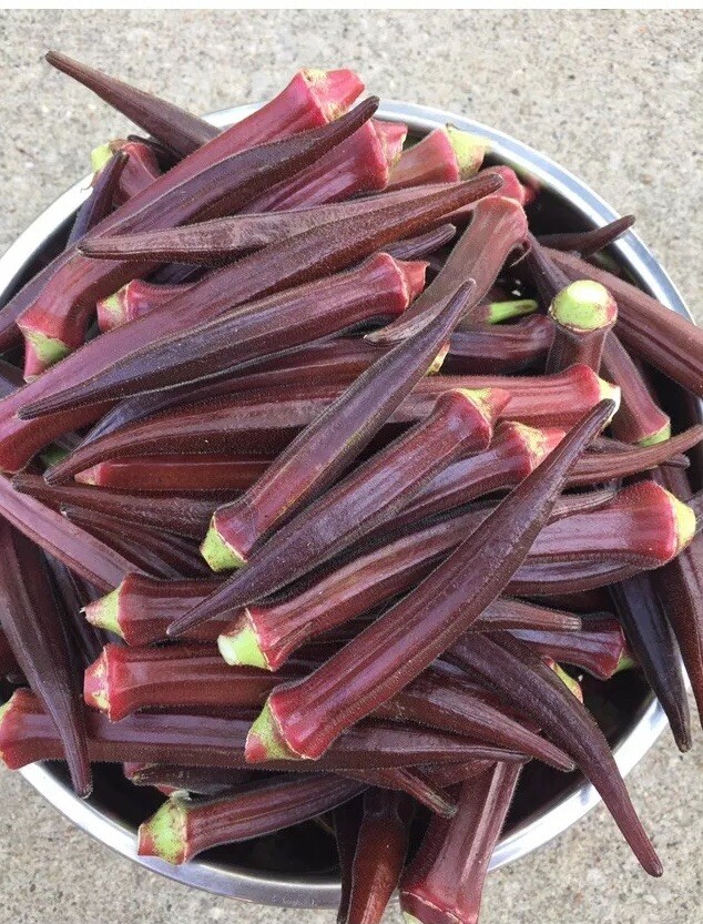 Okra Burgundy Red 100 Seeds Non Gmo Heirloom Vegetable Organic Grown 5g 0.2oz