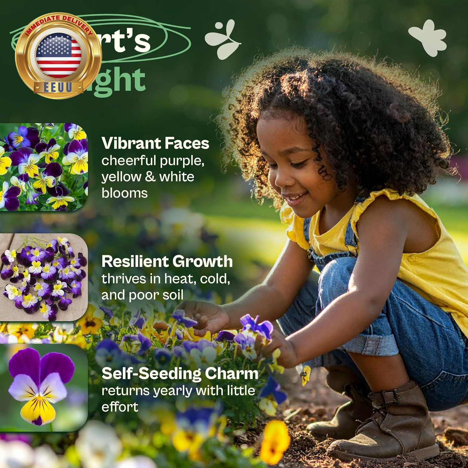 1500 Helen Mount Johnny Jump up Seeds (Viola Tricolor) – Johnny-Jump-Up Wildflow