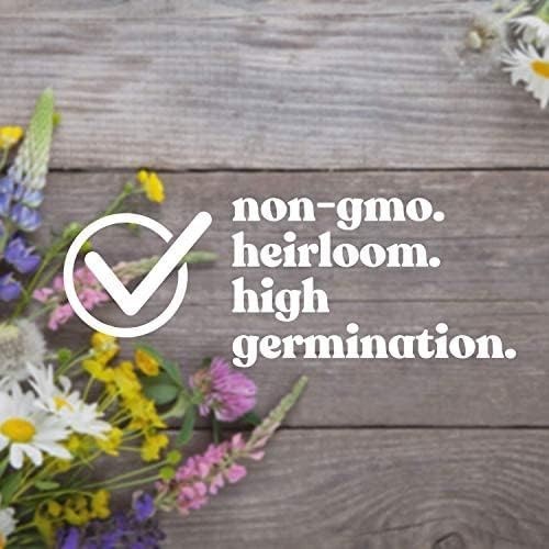 3 Oz Non-GMO Wildflower Seed Mix – 19 Shade-Tolerant Varieties for Pollinators