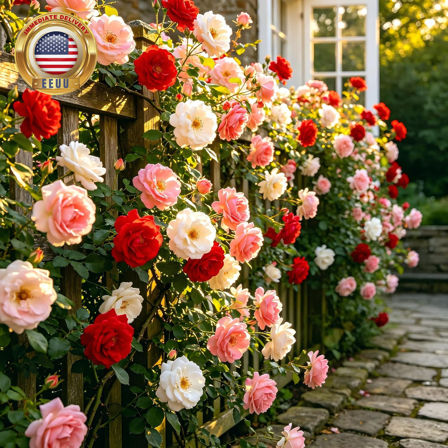 Carpetc 250+ Mixed Climbing Rose Seeds for Planting, Rosa Hybrid Rambling Vine w