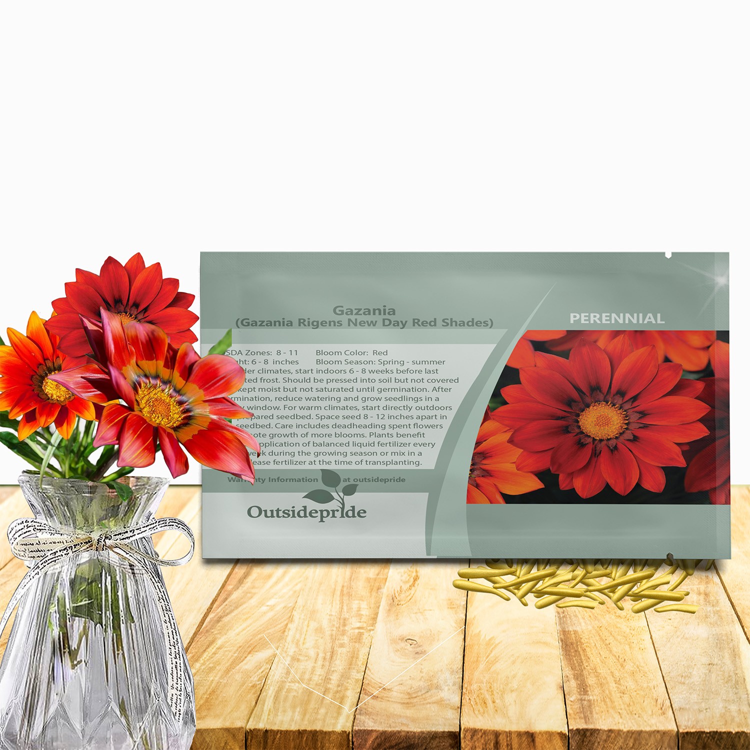 50 Seeds Drought Tolerant Gazania Red Shades Ground Cover Plant Flower Seeds