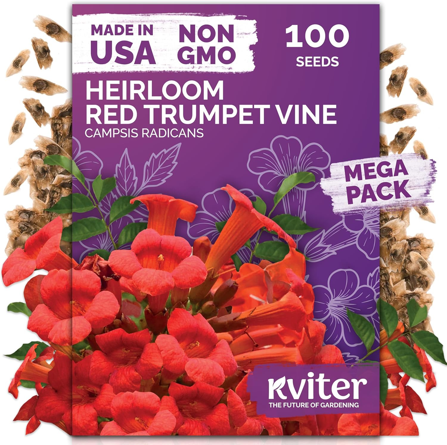 20,000 Creeping Thyme Seeds (Thymus Serpyllum) – Wild Thyme, Aromatic Ground Cov