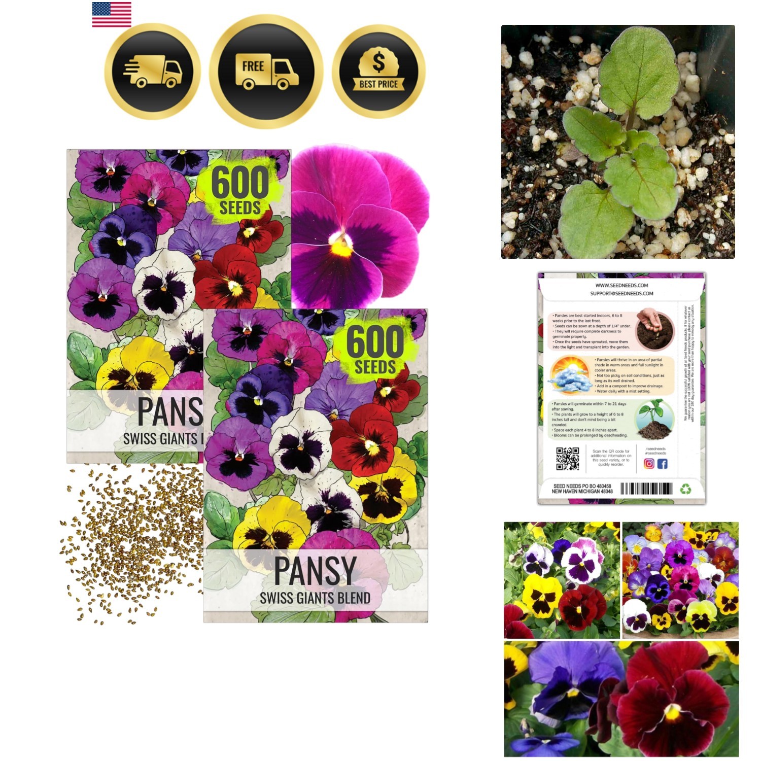 Pansy Seeds Flower Seeds Pollinator Attracting Edible Blooms Full Sun