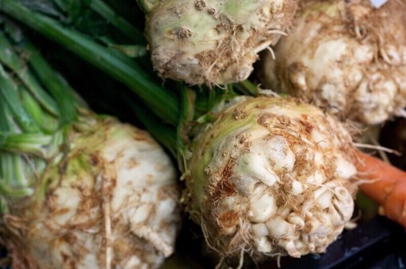 Giant Prague Non-GMO Celeriac Seeds, Shipped with Tracking, Urban Gardening