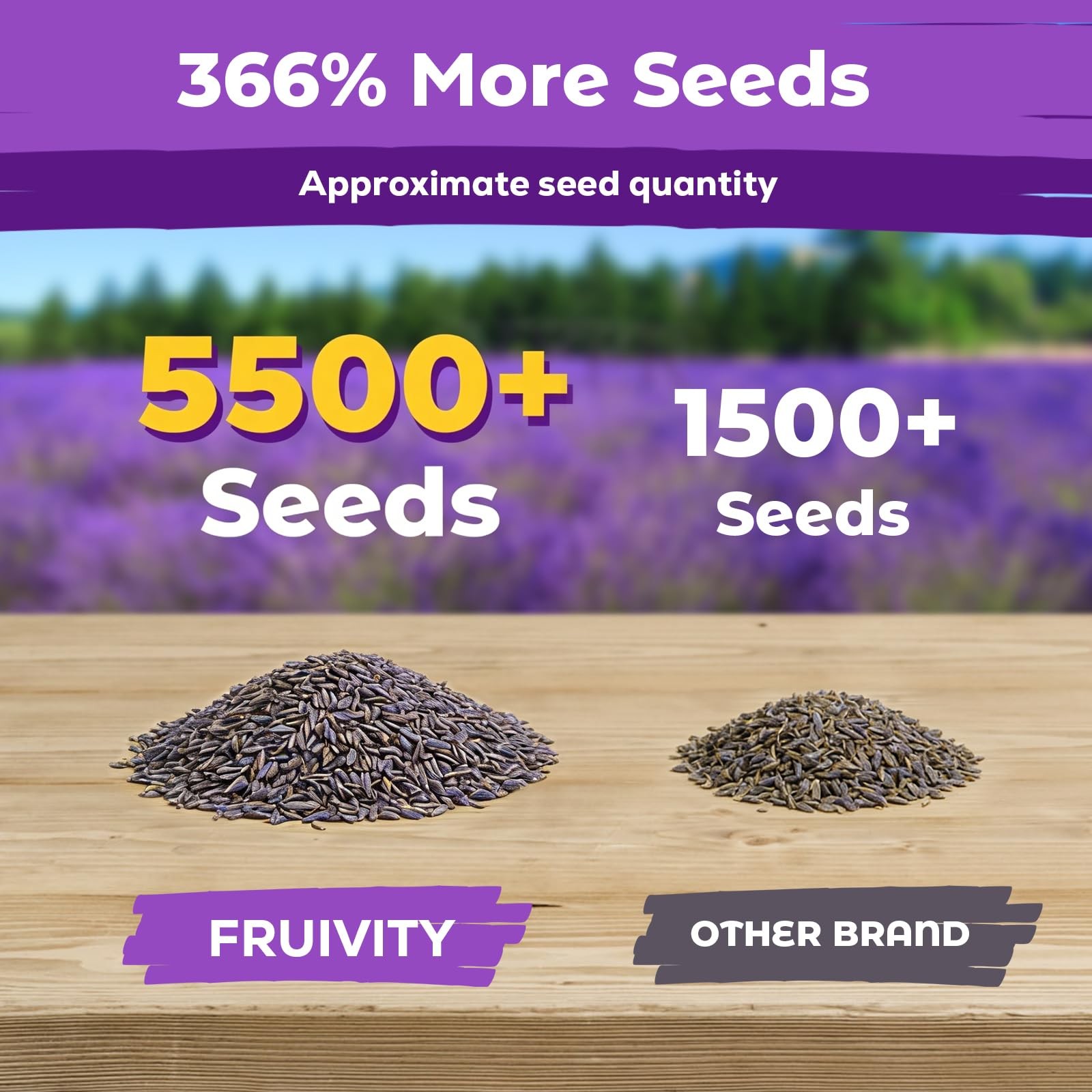 5500+ English Lavender Seeds for Planting Outdoor Heirloom Lavandula Flower S…