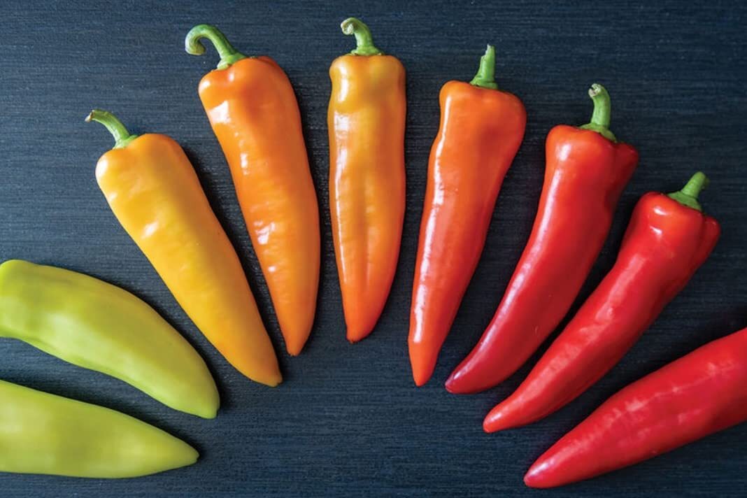 Hungarian Hot Wax Pepper Seeds for Planting (30 Seeds) – Grow Your Own Delicious