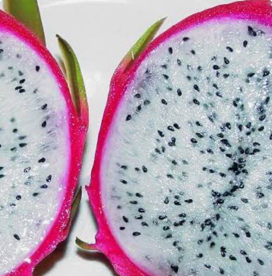 White Dragonfruit seeds (100+ seeds)
