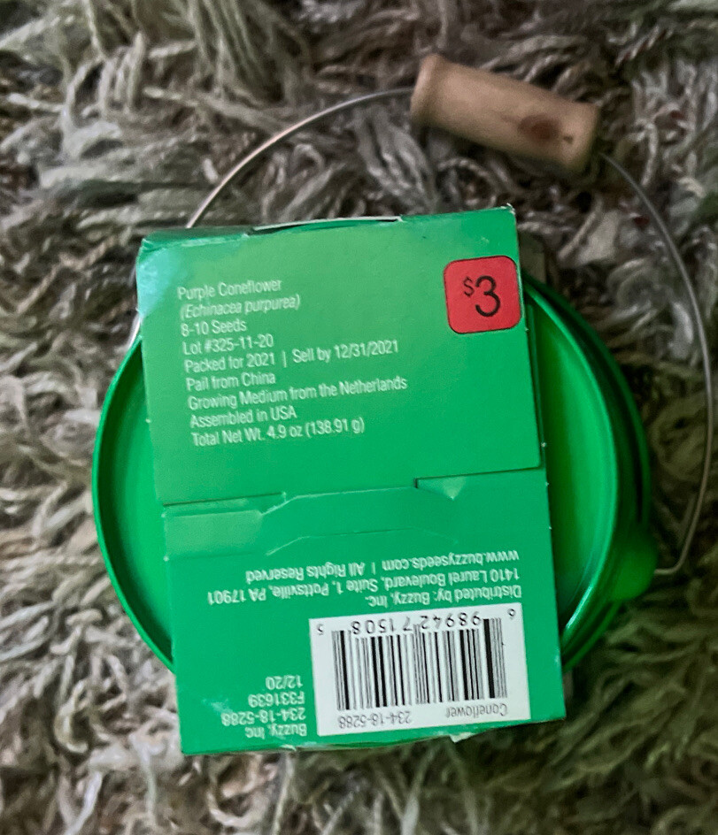 Coneflower Grow Kit – by Buzzy Inc.