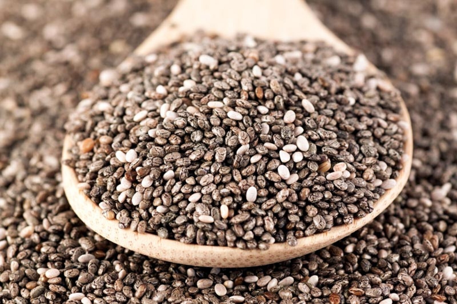 Chia Seeds, 16 ounces