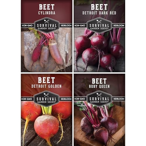 Beet Seeds 4 Variety Pack for Planting – Heirloom Beet Seed Collection: